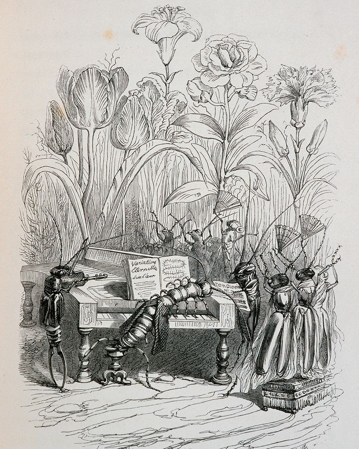 A cartoon from the mid-1800s, using apparently sophisticated insects to satirise French society (Credit: Getty Images)