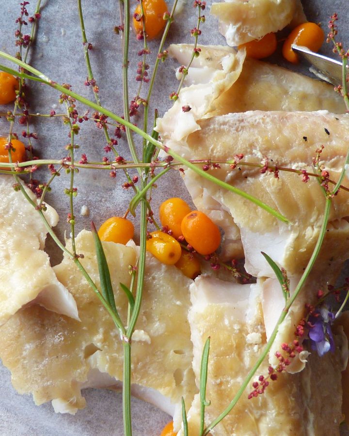 Food writer Niina Malkia and her partner Jukka Remahl serve up dishes like smoked local fish scattered with foraged sea buckthorn (Credit: Norman Miller)