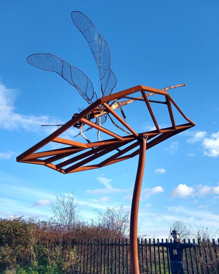 A metal sculpture of an insect marks the entrance to Canvey Wick (Credit: Sioned Jones)