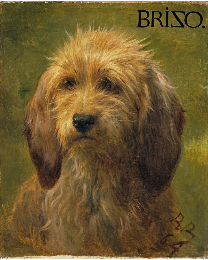 Rosa Bonheur's Brizo, A Shepherd's Dog (1864) is one of a collection of pet portraits in the exhibition (Credit: The Trustees of The Wallace Collection)