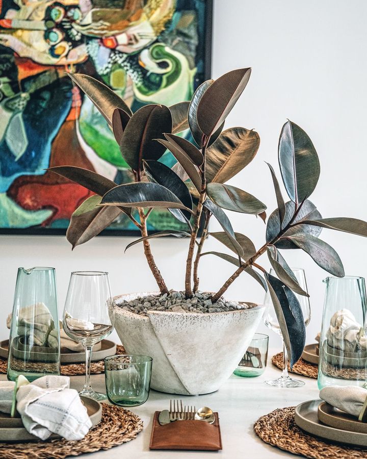 An indoor plant as a centrepiece is a good alternative to cut flowers (Credit: Hilton Carter/ CICO Books)