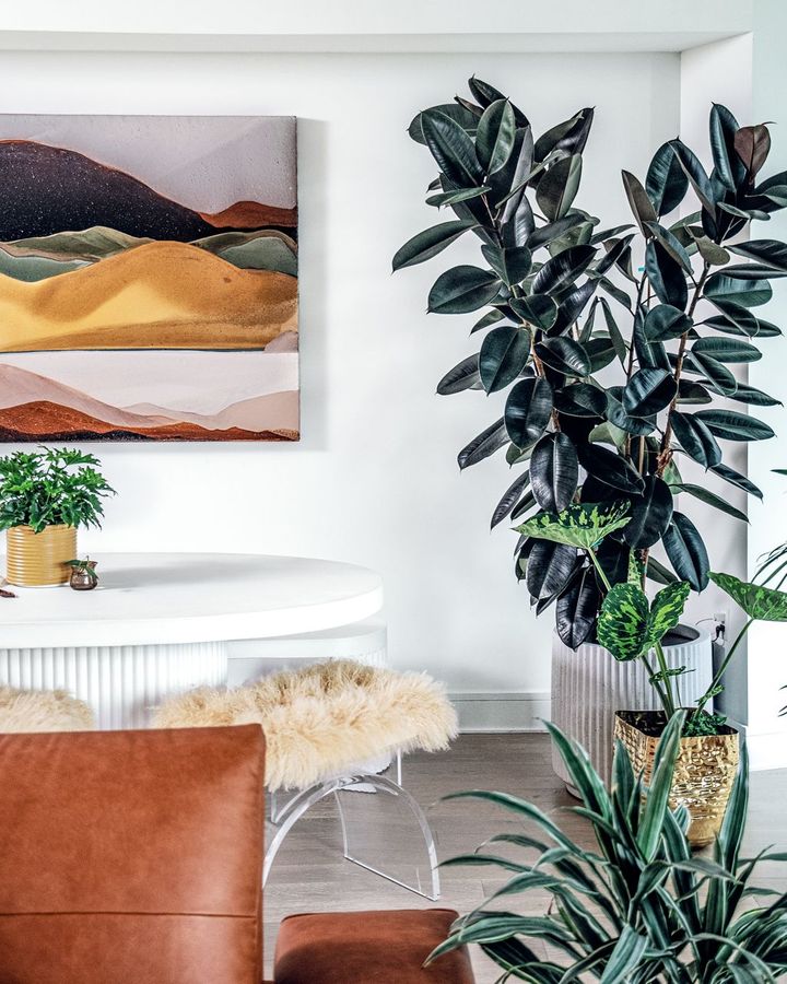 A large, eye-catching plant can help provide a room with a strong focal point (Credit: Hilton Carter/ CICO Books)
