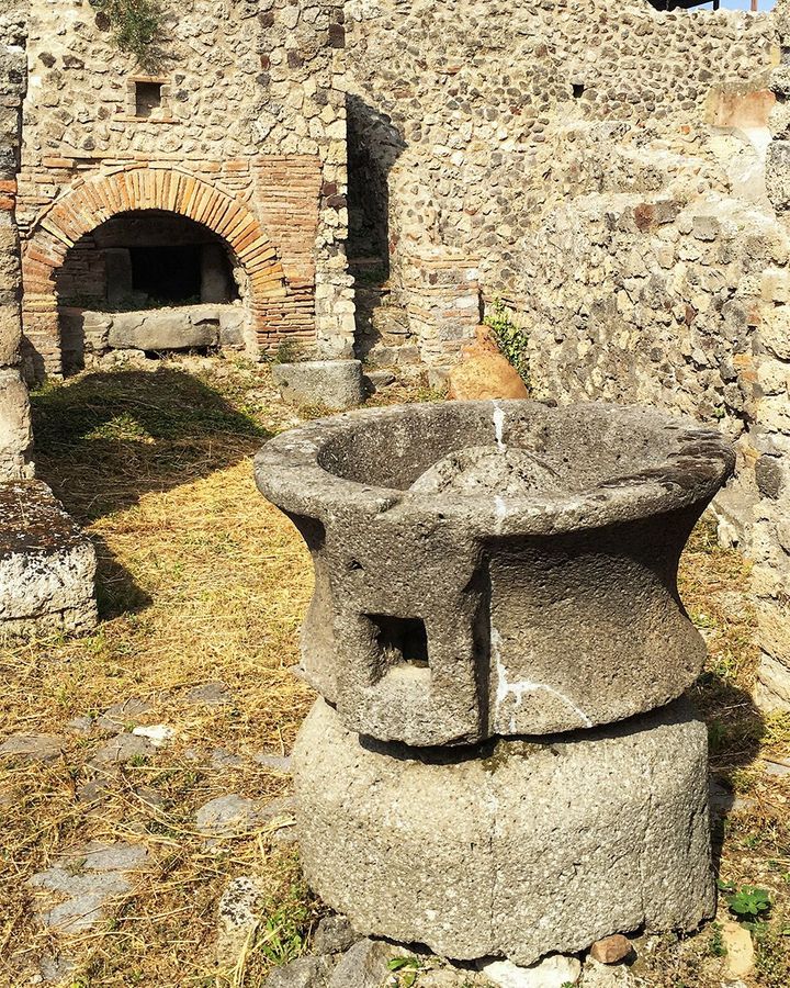 Arculata: The bread that survived Pompeii