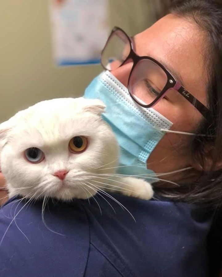 Vanessa Carpentier, 33, left the veterinary field after burnout and long hours (Credit: Courtesy of Vanessa Carpentier)