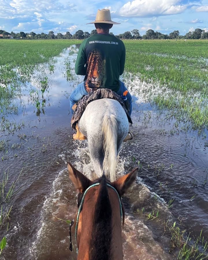 Os safáris a cavalo são uma excelente maneira de explorar as áreas úmidas do Pantanal (Crédito: Sarah Brown)