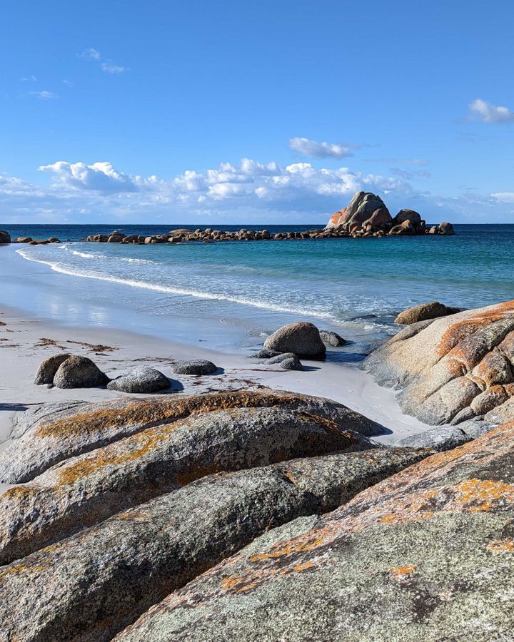 Tasmania's Bay of Fires region is famous for its rocky headlands smothered in orange lichen (Credit: Ellie Cobb)