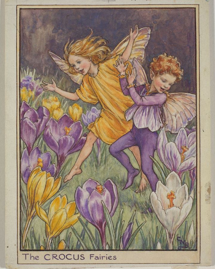 The Crocus Fairies from Flower Fairies of the Spring – the watercolours are still popular today with “fairycore” fans (Credit: Estate of Cicely Mary Barker 1934 Flower Fairies)
