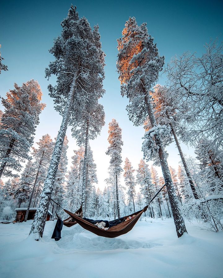 Visitors to Halipuu can also spend the night in cocooned in a hammock in the forest (Credit: Meir Schonbrun)