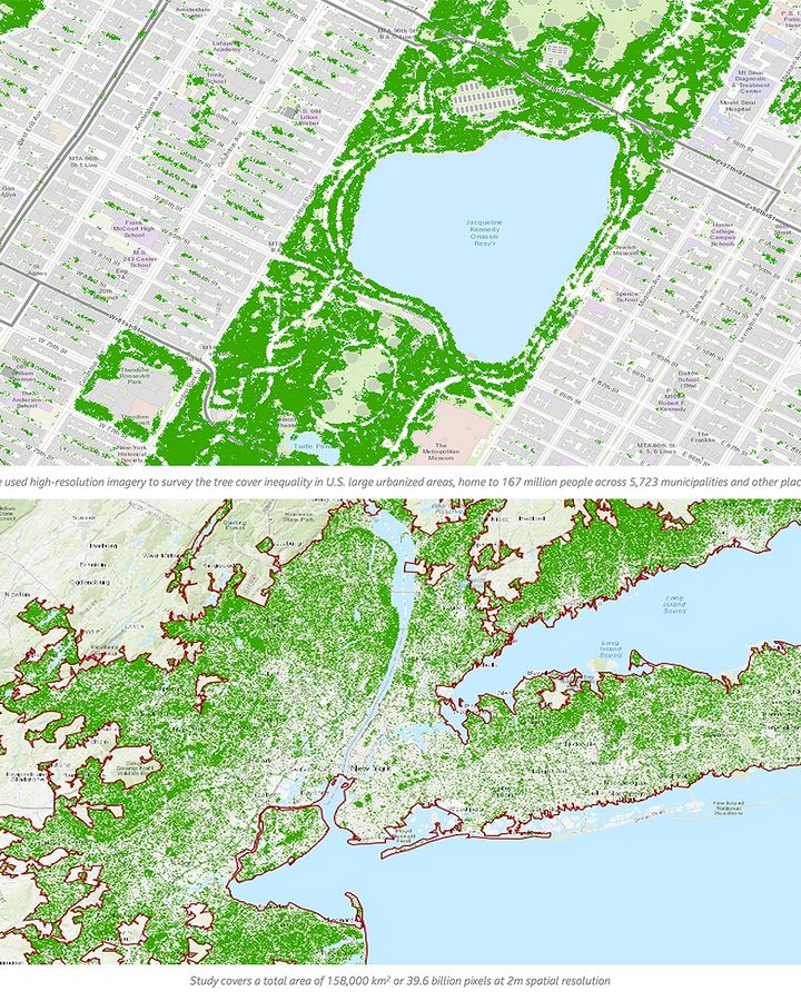 These are the neighbourhoods in most urgent need of trees - BBC Future