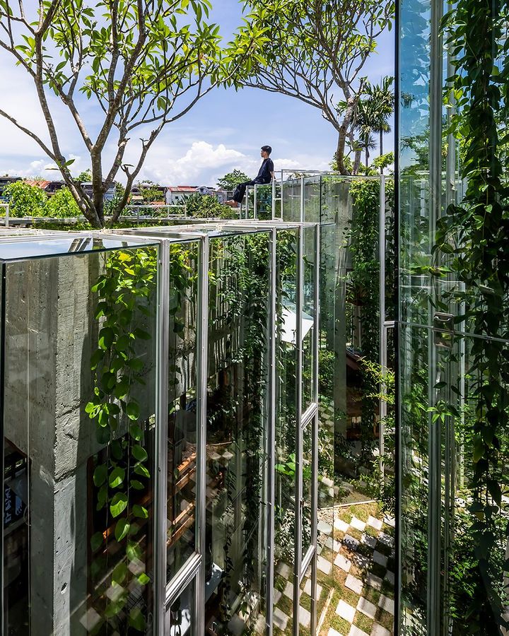 Made up of glass blocks covered in a layer of vines and topped by frangipani trees, Labri is a pavilion-like home in Huế, Vietnam, that resembles a forest