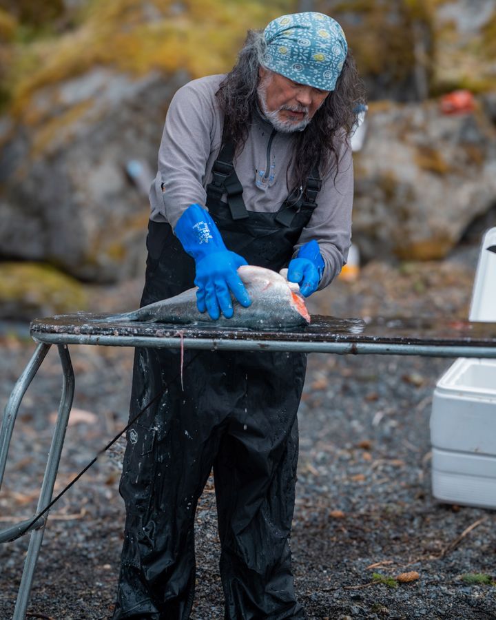 Wild salmon face "death by a thousand cuts", says Peter Westley (Credit: Della Stroh) Wild salmon face "death by a thousand cuts", says Peter Westley (Credit: Della Stroh)