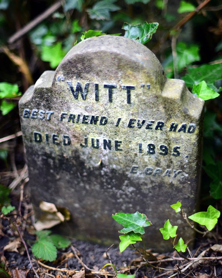 (p33 – Witt’s Grave) The headstone in Hyde Park has been abandoned for decades, but the grave itself still stands (Photo by Paul Koudounaris)