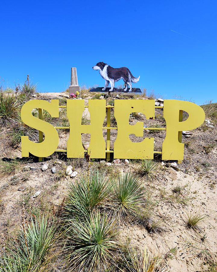 (p220) Though the base has been abandoned, Shep continues to keep watch through the night from his cliff-top grave (Photo by Paul Koudounaris)