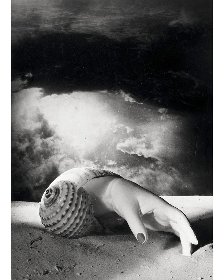 Handshell by Dora Maar (1934) (Credit: Center Pompidou, MNAM-CCI/Jacques Faujour/ Dist RMN-GP/ Adagp, Paris, 2024)