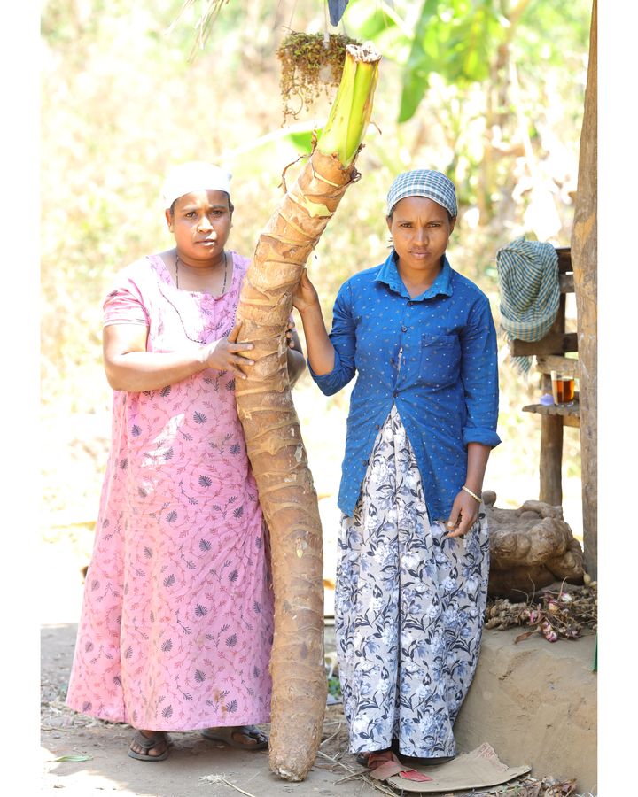 The indigenous women saving India's endangered giant yams - BBC Future