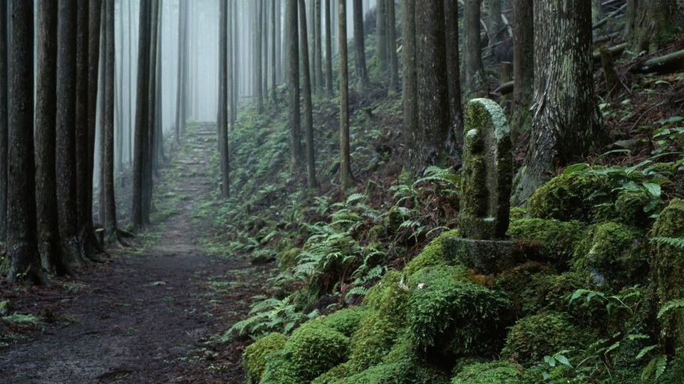 Kumano kodo, Shingu City Kumano kodo, Shingu City