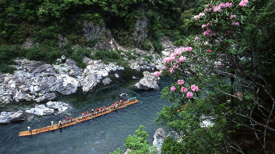 Kozagawa-River-rafting