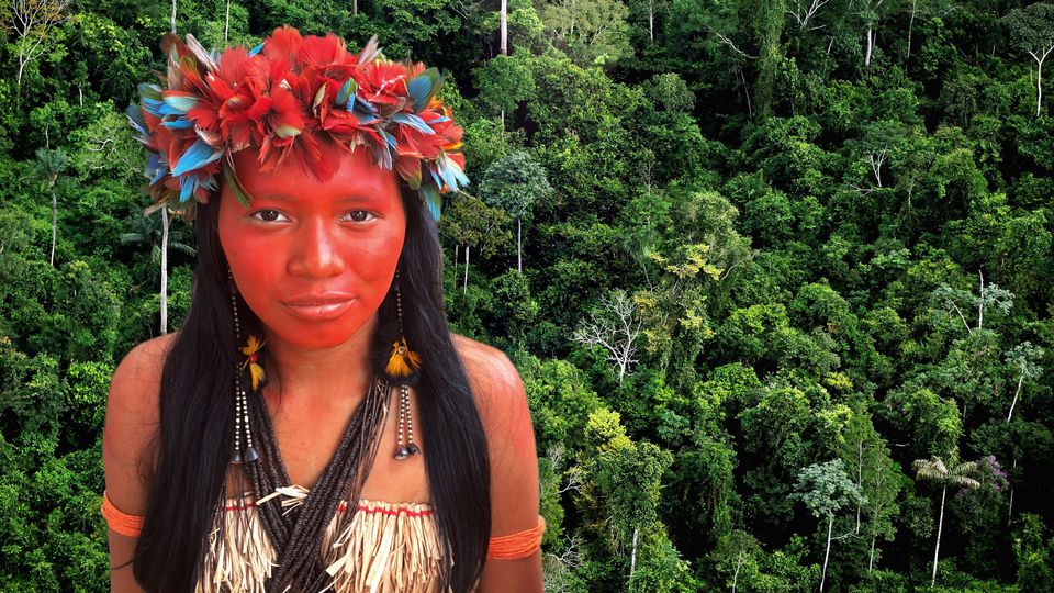 Can the Amazon rainforest survive? BBC Reel