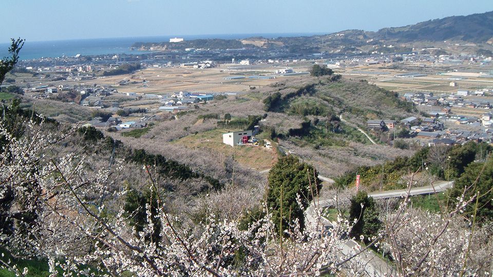 Springtime in Wakayama.