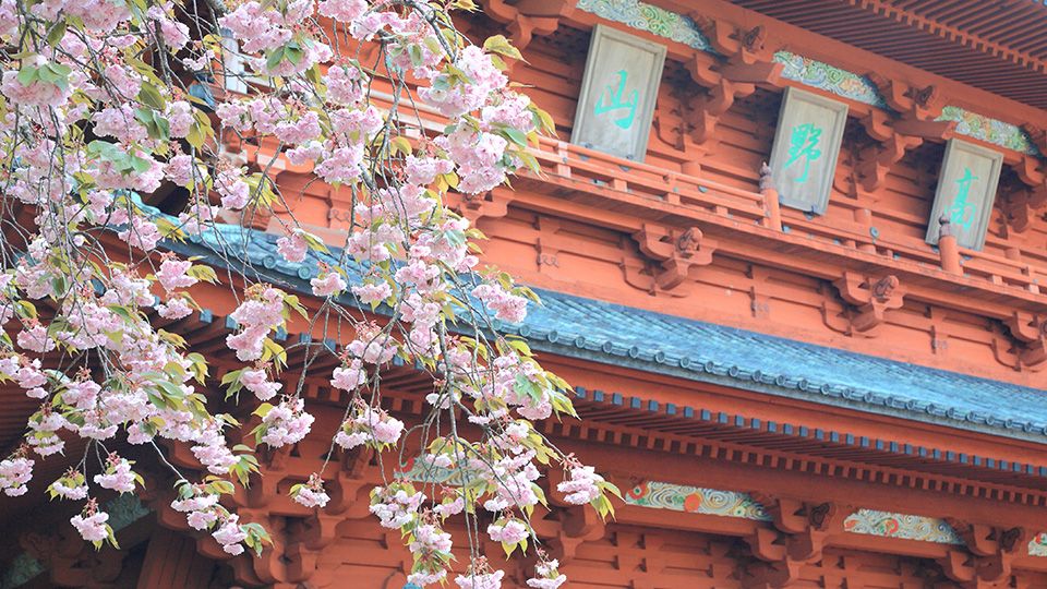 The Dai-mon Gate marks the entrance to Koyasan. The Dai-mon Gate marks the entrance to Koyasan.