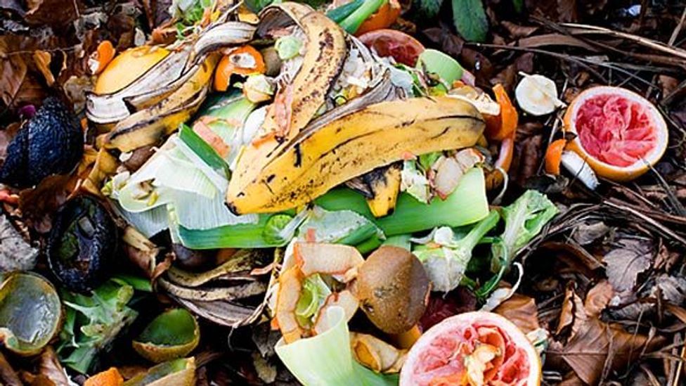 Food waste: An unpalatable problem
