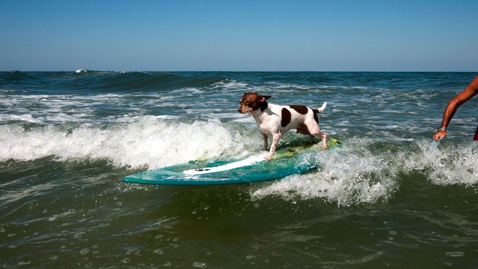 Summer Pastimes In North Carolina S Outer Banks c Travel