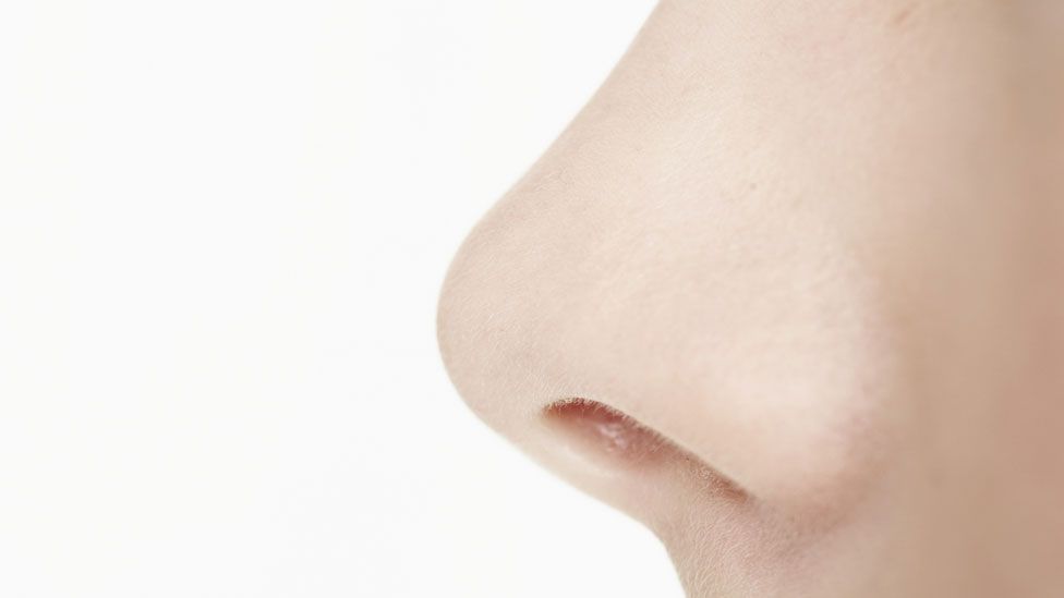 Electronic nose: Sniffing out health problems - BBC Future