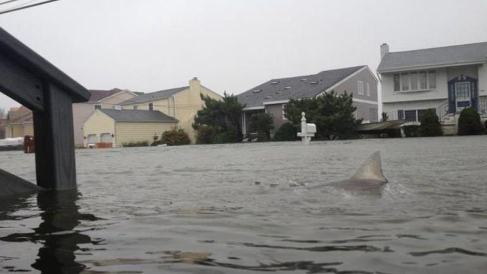 Hurricane Sandy Five ways to spot a fake photograph BBC Future