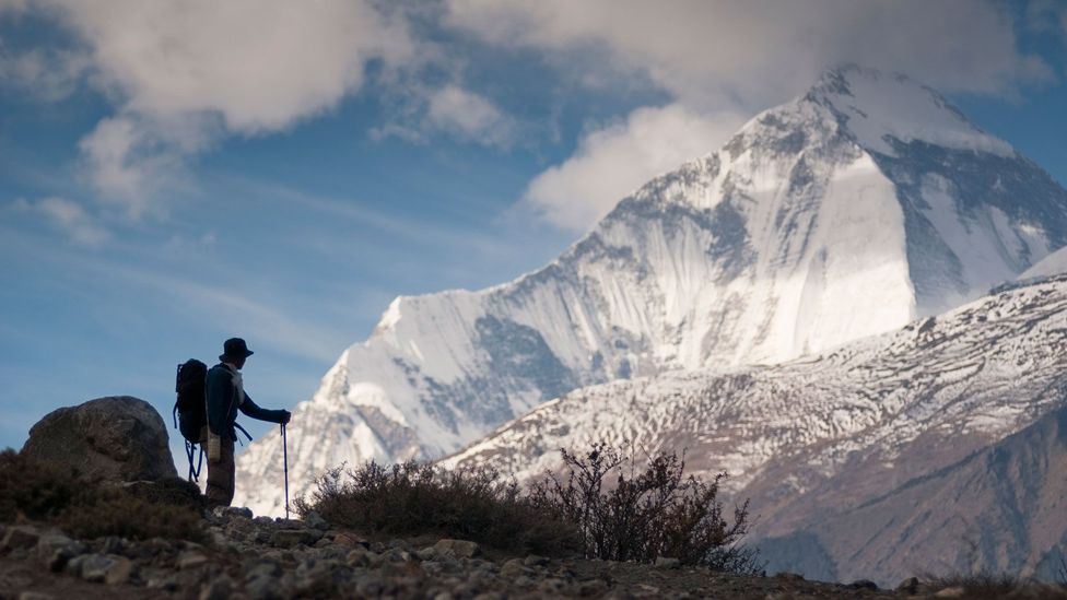 Is The Snap Year The New Gap Year BBC Travel