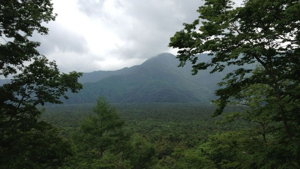 World’s most haunted forests - BBC Travel