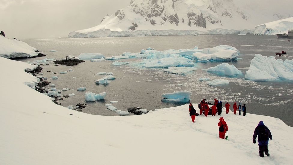 The world’s last great wilderness - BBC Travel