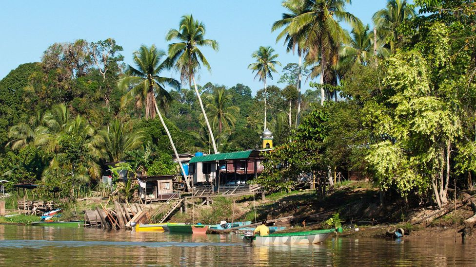 Borneo - BBC Travel