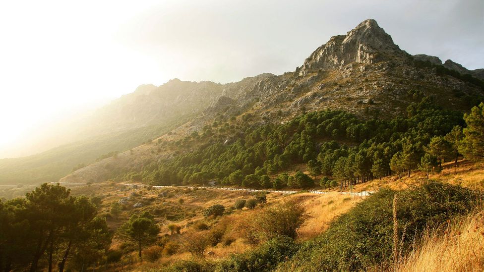 The rugged mountains of the Sierra de Grazalema hide peaks, valleys and gorges and pretty villages, making them perfect walking territory. (Yadid Levy)