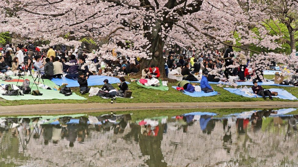 Harajuku: Tokyo's best people watching - BBC Travel