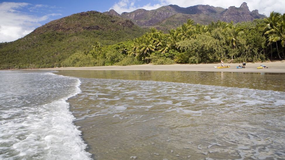 Five magnificent islands off the Queensland coast BBC Travel