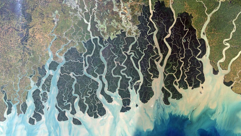 Sundarbans (Copyright: Nasa)