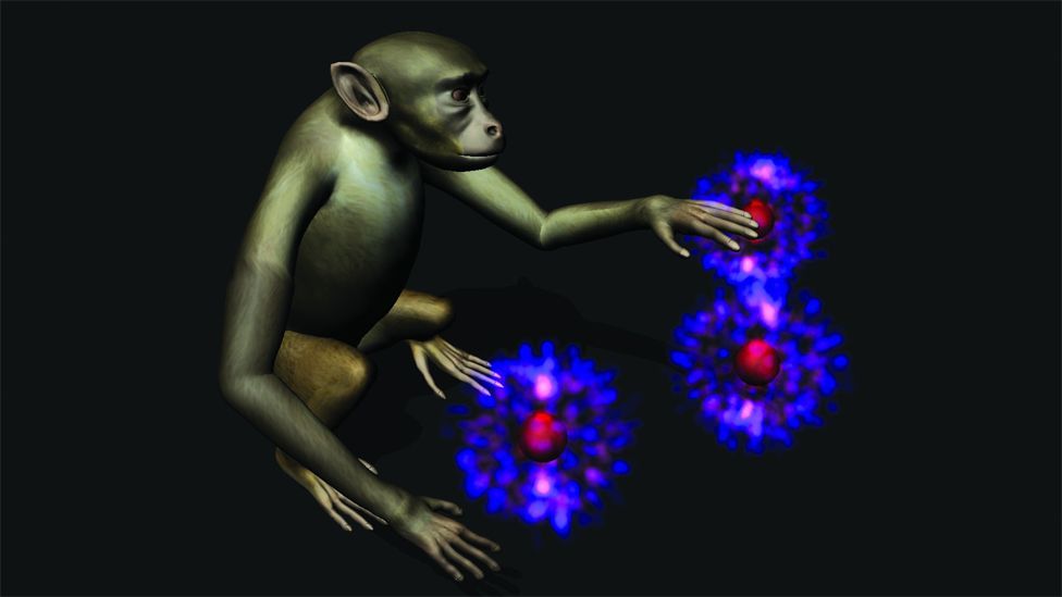 Darpa funded professor, Miguel Nicolelis of Duke University, demonstrated that a monkey with implants can be taught to move a joystick just by thinking. (Copyright: Katie Zhuang) Darpa funded professor, Miguel Nicolelis of Duke University, demonstrated that a monkey with implants can be taught to move a joystick just by thinking. (Copyright: Katie Zhuang)