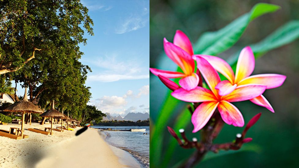 Mauritius, Indian Ocean, culture, history, food, island, Africa