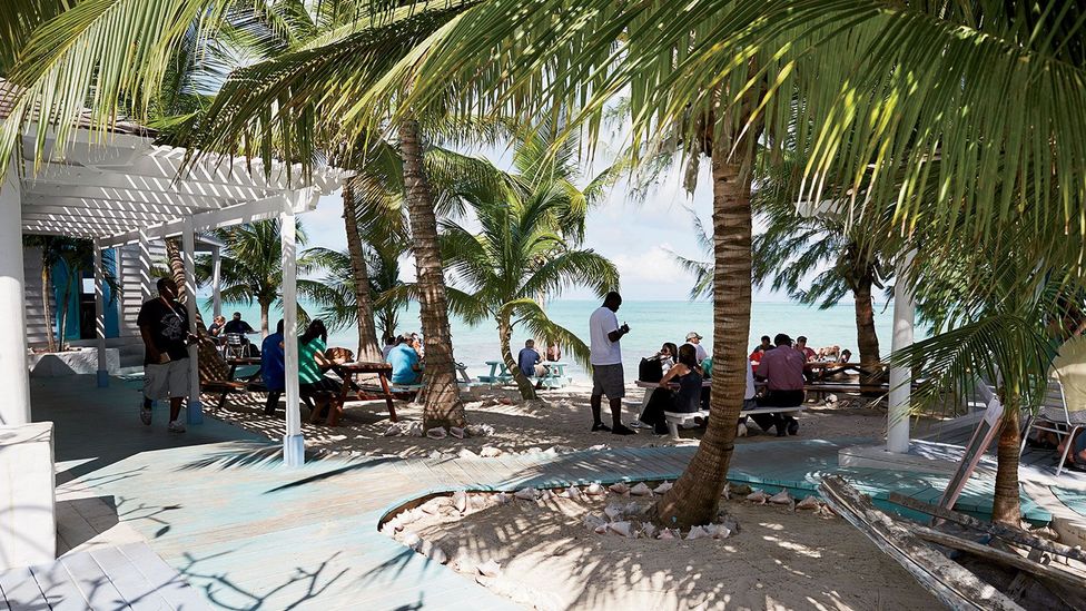 Turks and Caicos, Caribbean, island, Providenciales, seafood, da Conch Shack Turks and Caicos, Caribbean, island, Providenciales, seafood, da Conch Shack
