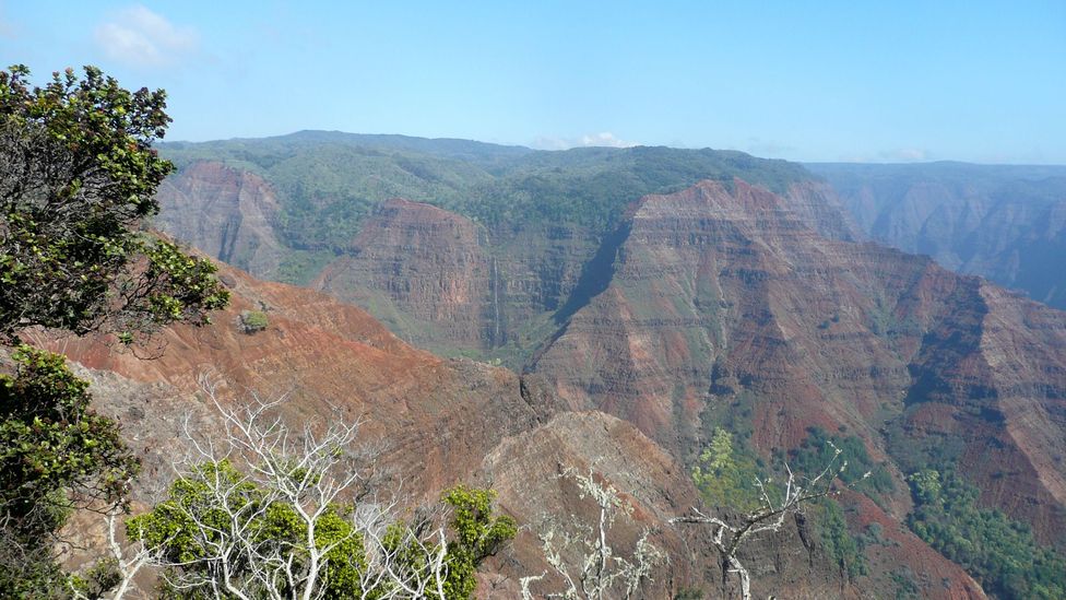Kauai's Waimea Canyon Kauai's Waimea Canyon