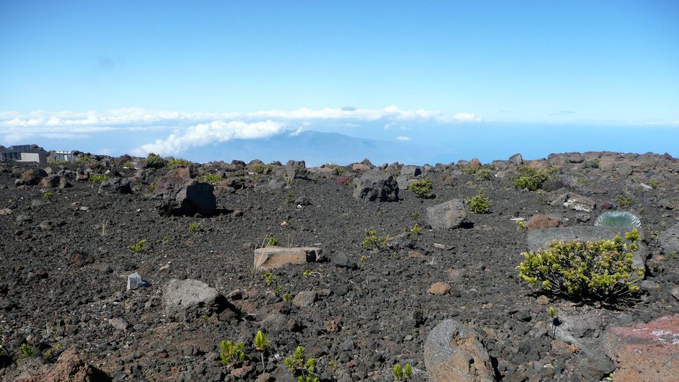 On the slopes of Maui’s Mount Haleakala On the slopes of Maui’s Mount Haleakala