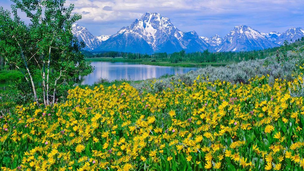 The best of the West in Jackson Hole BBC Travel