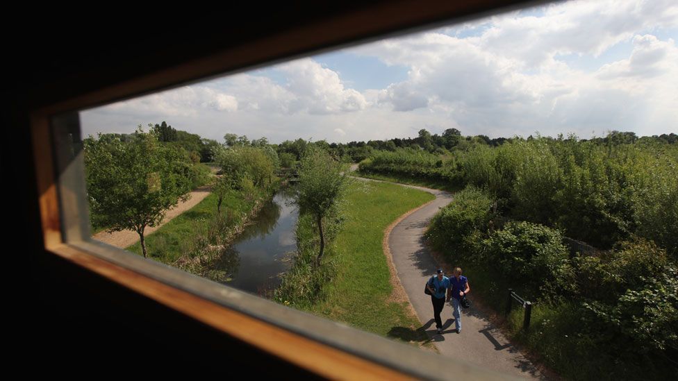 Many cities are converting former wastelands into nature reserves, where species that have become rare in the countryside can thrive. (Getty Images) Many cities are converting former wastelands into nature reserves, where species that have become rare in the countryside can thrive. (Getty Images)