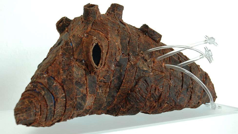 Terreform’s concept for a shelter is built from a range of materials – including lab-grown pig skin cells. The skin is merged with gums and plastics. (Copyright: Terreform) Terreform’s concept for a shelter is built from a range of materials – including lab-grown pig skin cells. The skin is merged with gums and plastics. (Copyright: Terreform)