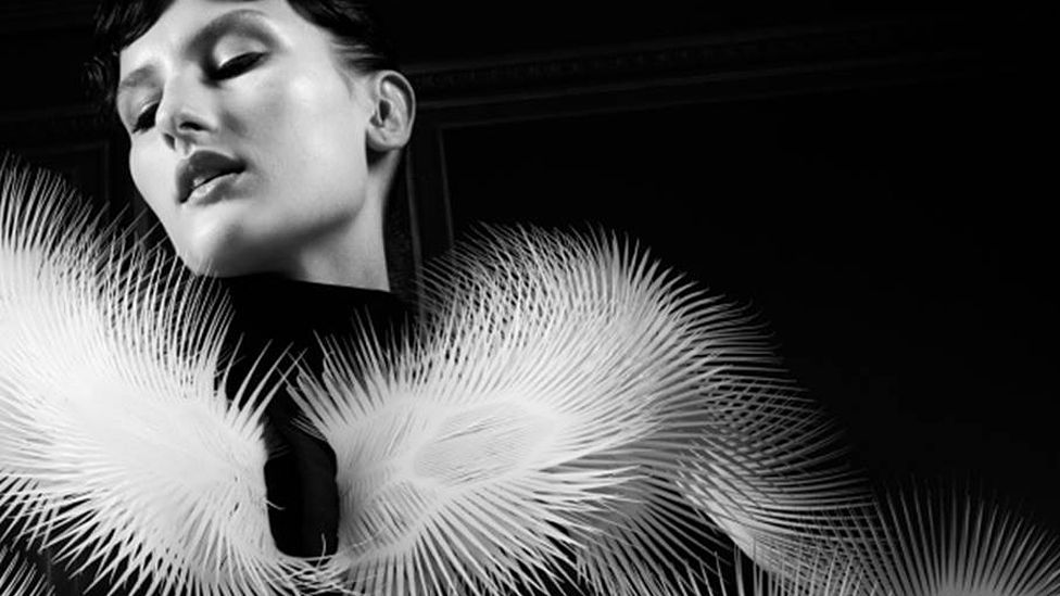 Beesley has also collaborated with Dutch fashion designer Iris Van Herpen, who has designed clothing which interacts with the surrounding air. (Copyright: Ronald Stoops) Beesley has also collaborated with Dutch fashion designer Iris Van Herpen, who has designed clothing which interacts with the surrounding air. (Copyright: Ronald Stoops)