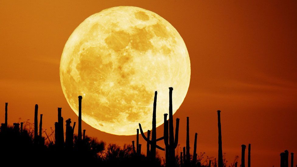 Does a full moon make people mad? - BBC Future