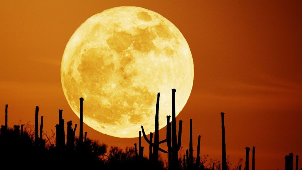 does-a-full-moon-make-people-mad-bbc-future