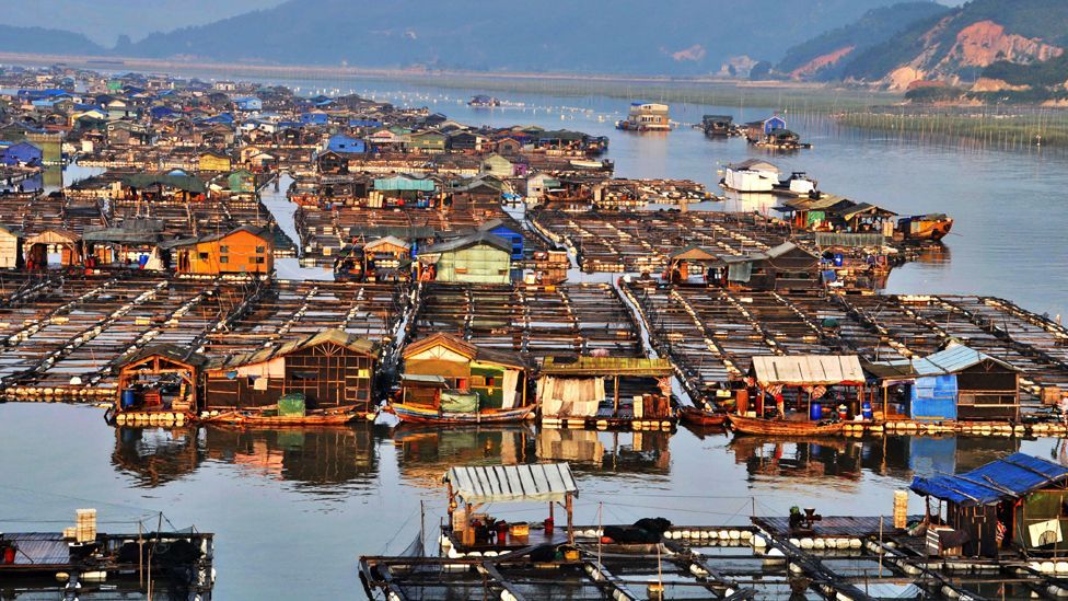 Mankind has long sought shelter on the sea. Members of China’s Tanka community have been living in villages based entirely on water for more than 1,200 years. (Rex Features) Mankind has long sought shelter on the sea. Members of China’s Tanka community have been living in villages based entirely on water for more than 1,200 years. (Rex Features)