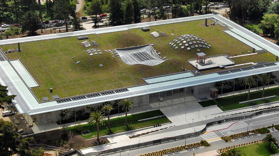 The California Academy of Sciences' Living Roof provides habitat for wildlife, functions as a cooling system for the building and also help prevents storm water runoff. (Tom Fox) The California Academy of Sciences' Living Roof provides habitat for wildlife, functions as a cooling system for the building and also help prevents storm water runoff. (Tom Fox)