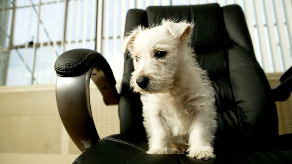 The bestever employee perks and benefits BBC Worklife